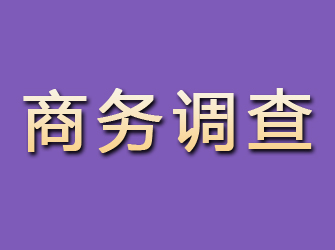 河口商务调查